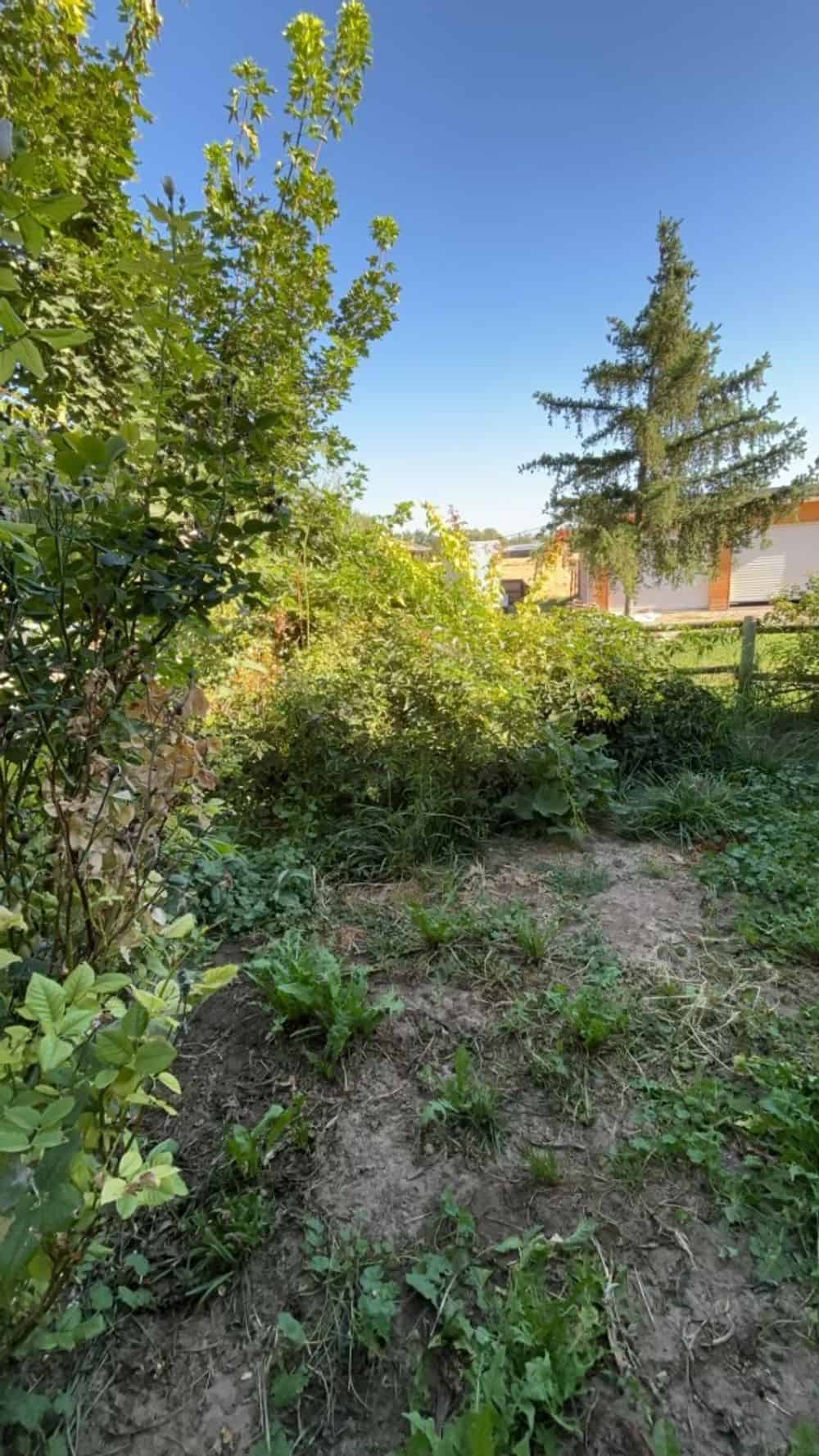 Mulching and Weed Control image